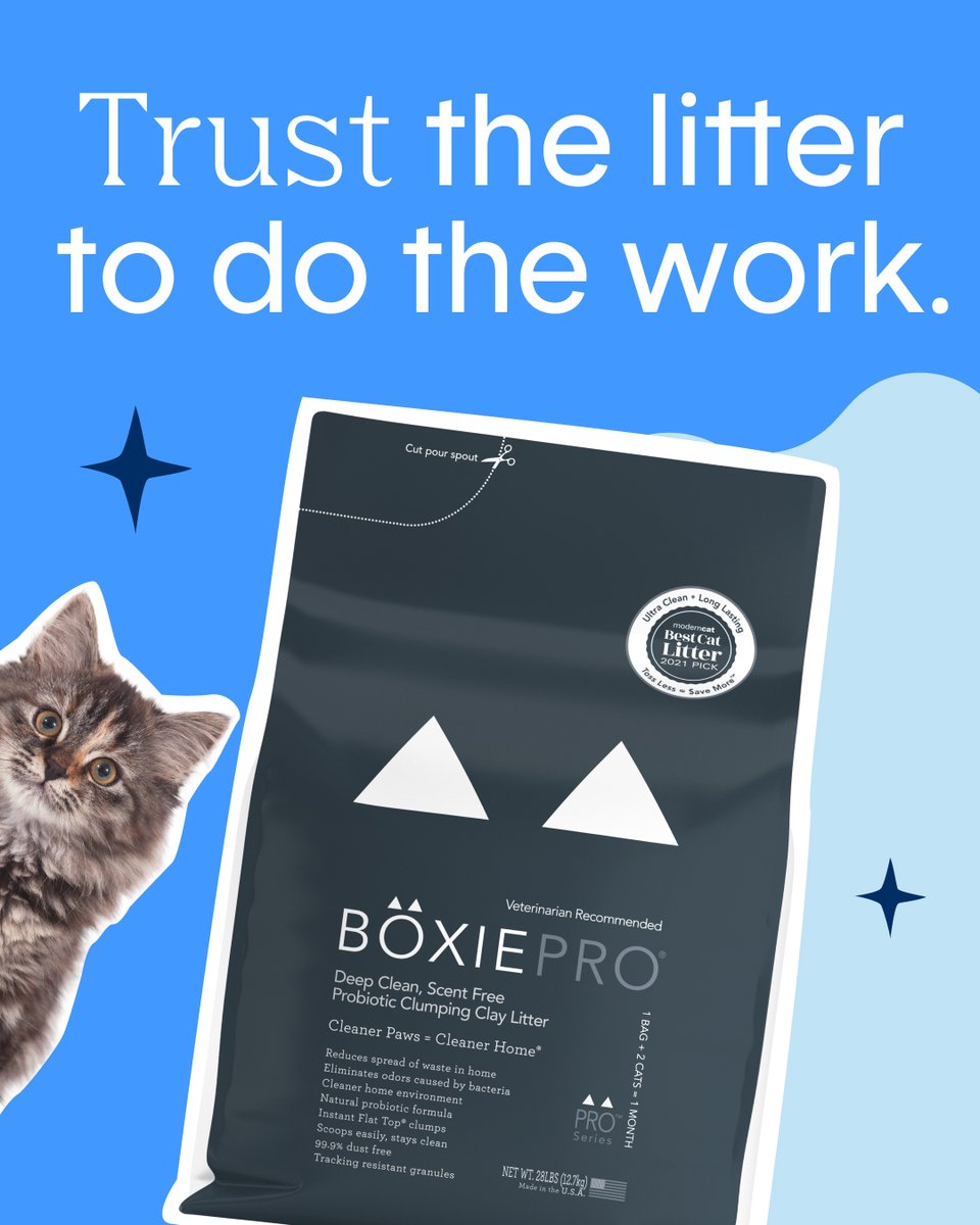 HelloBoxiecat's tweet image. New routine. Cleaner box. Happier cat. 🐈✨