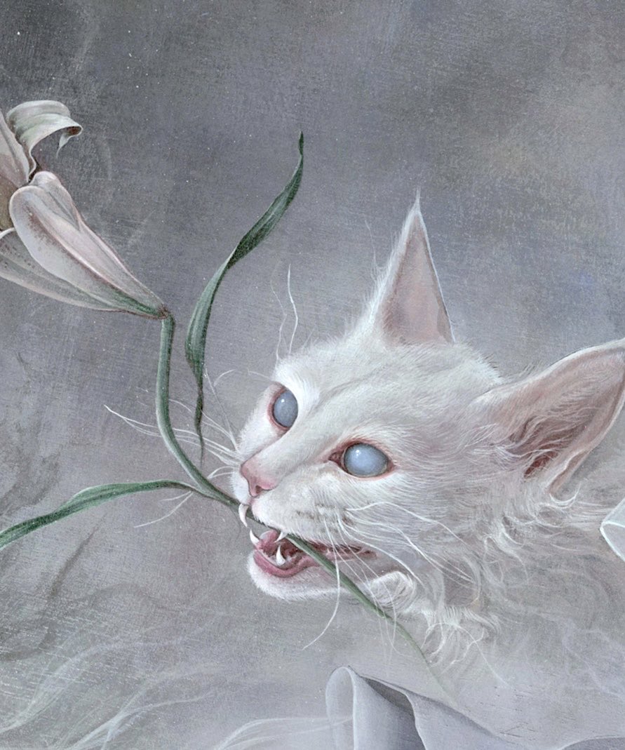 野口芽衣 (@kohaku__0) / Posts / X