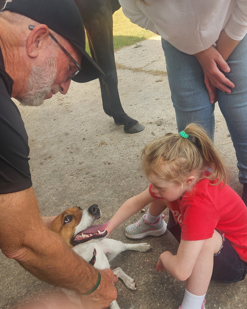 Andrew Hopper tweet media