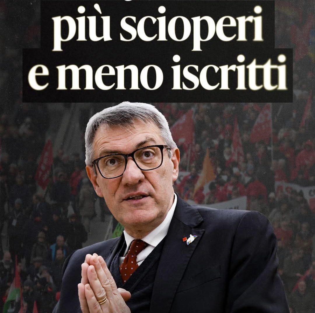 arabafenice tweet media