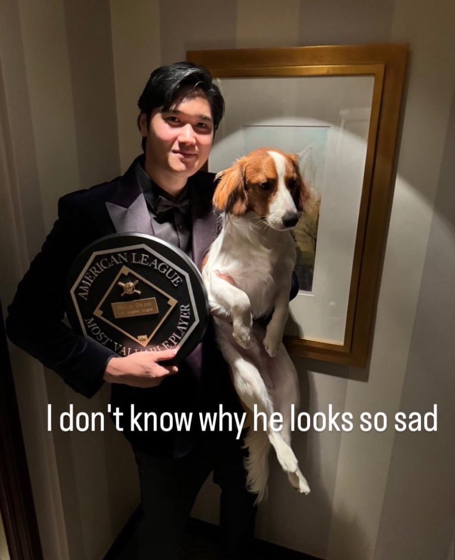 デコピンのこの表情の落差好きwwwwww #大谷翔平 #ShoheiOhtani #デコピン