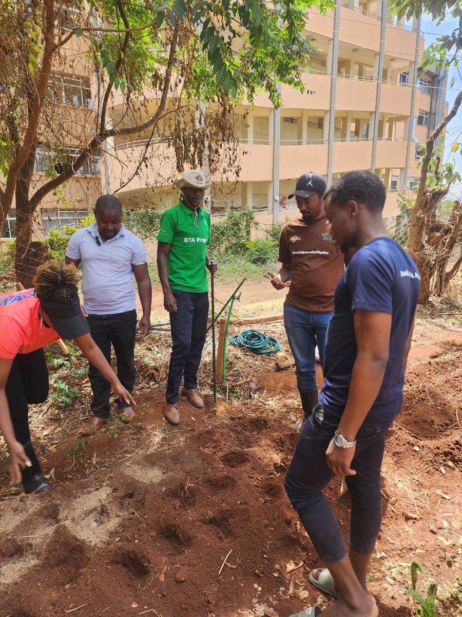 SUN_CSA_KENYA's tweet photo. From training to transformation! 🌱
GTA Champion @LukeTim joined @ifjad_ to establish an organic demo garden at Thika Level 5 Hospital for nutritious produce for MNCH Services & patients.
One trained champion = institutional change + better nutrition outcomes.
#GTAProject https://t.co/QlfYsSb43e