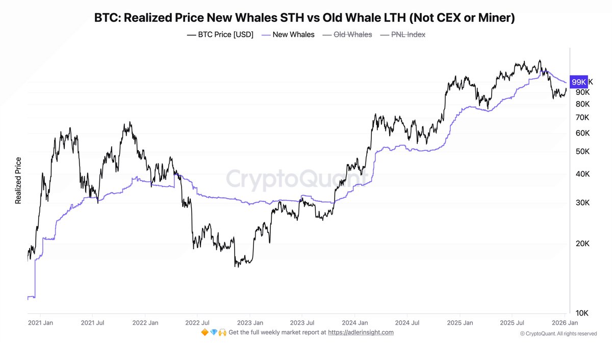 Neue #Bitcoin Wale haben ihren durchschnittlichen Einstiegspreis bei knapp  99.000$ 👀 Erreicht der Kurs dieses Level, könnten sie auf Breakeven  verkaufen und Verkaufsdruck ausüben 📉