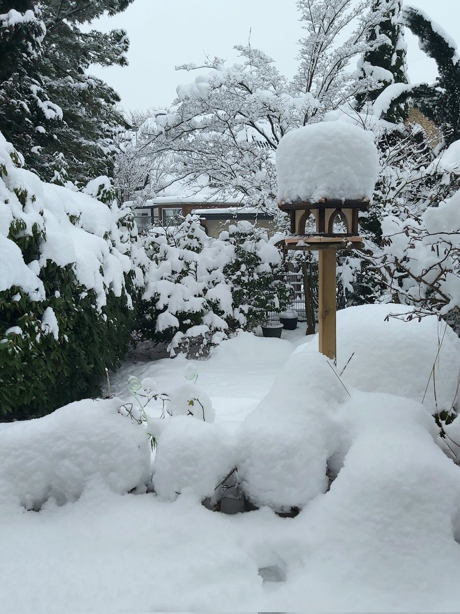 Vogelhaus mit  Mütze.
Wachsend.
Die Mütze, nicht das Haus.

!B