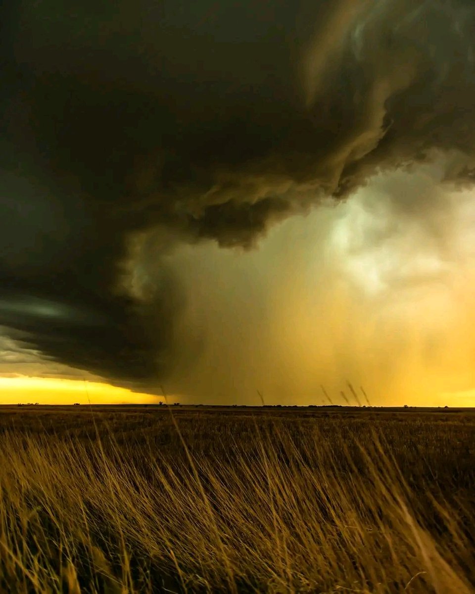 InterestingSci1's tweet photo. Sometimes there are no words!

Kansas

Single Image! No A-I generation! All content is original and is filmed by me Kent Stucky! 

#chasingtheshiftinglight #stormphotography #cloudchasing #stormchasing #weatherphotography  #Kansas #kansasphotographer #kansasphotos #Extraordinary https://t.co/q5XR7Ja8OU