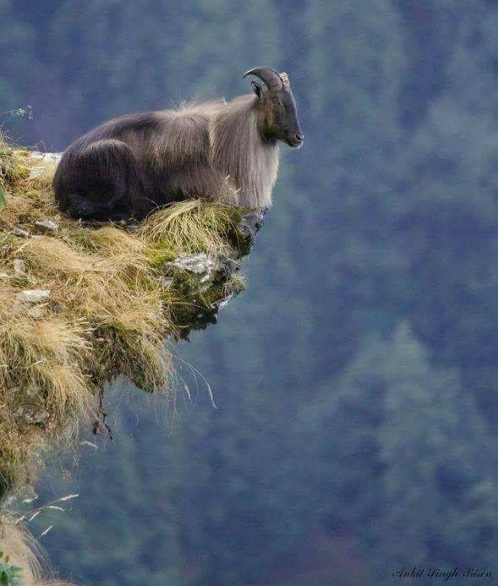 Kökün sağlamsa uçurumlar sana manzara olur!..

La edri