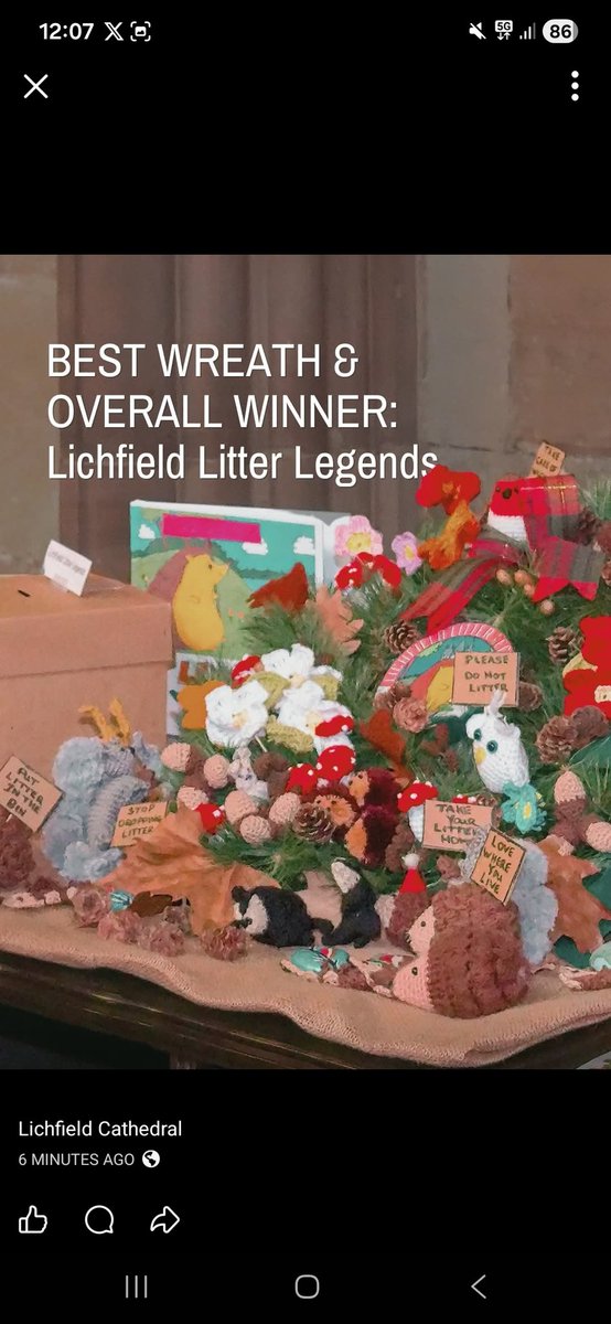 Lichfield Litter Legends tweet media