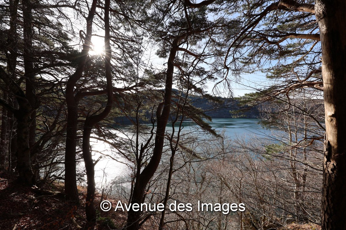 Avenue des Images tweet media