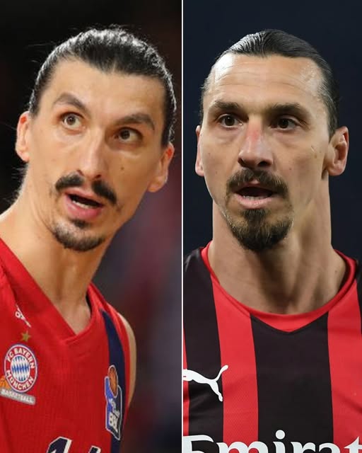 Bir gazeteci, Bosnalı basketbolcu Nihad Dedović’e, Zlatan Ibrahimović ile akraba olup olmadığını sordu:

🗣 Dedović:
“Hayır, babam hiç İsveç’e gitmedi.”

🗣 Zlatan’ın cevabı:
“Ama benim babam Bosna’ya gitti.” 😅