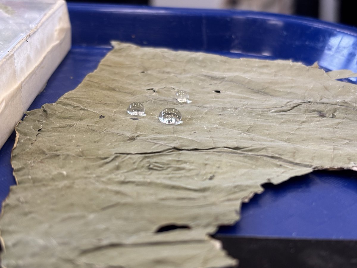 Fiona Hatton tweet media