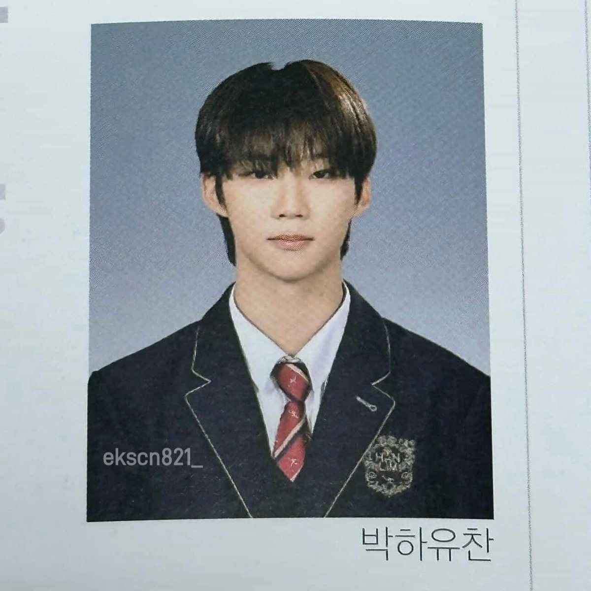 단추 tweet media