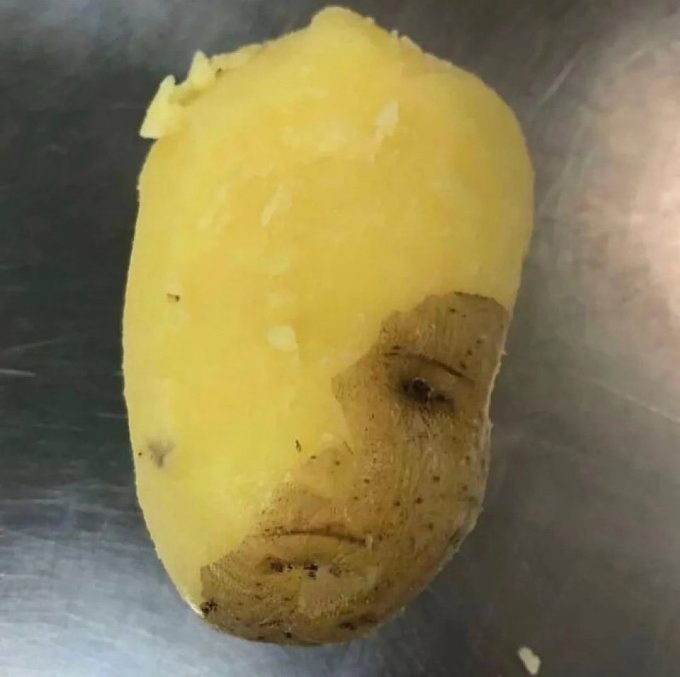 ジャガイモの未来は…お前に託したぞ…