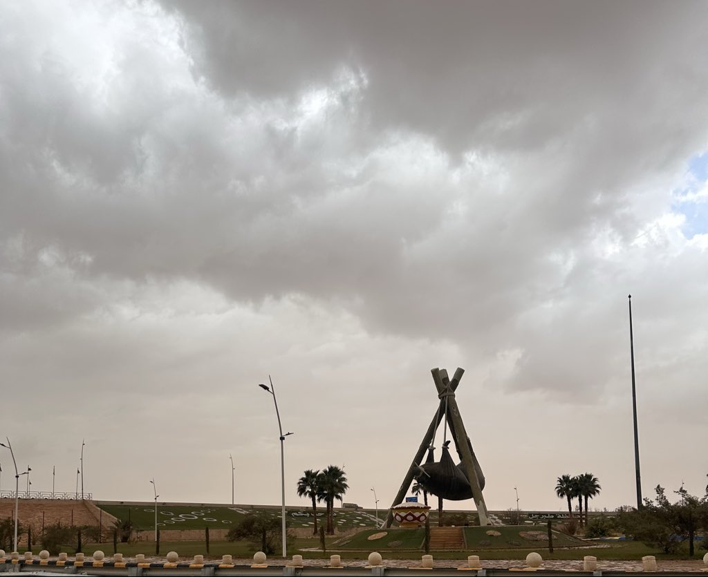 Bushra Alsardi tweet media