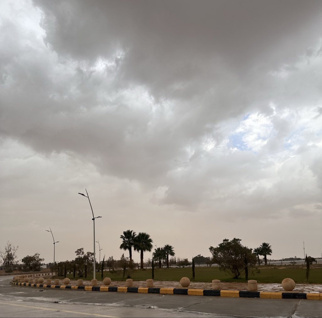 Bushra Alsardi tweet media