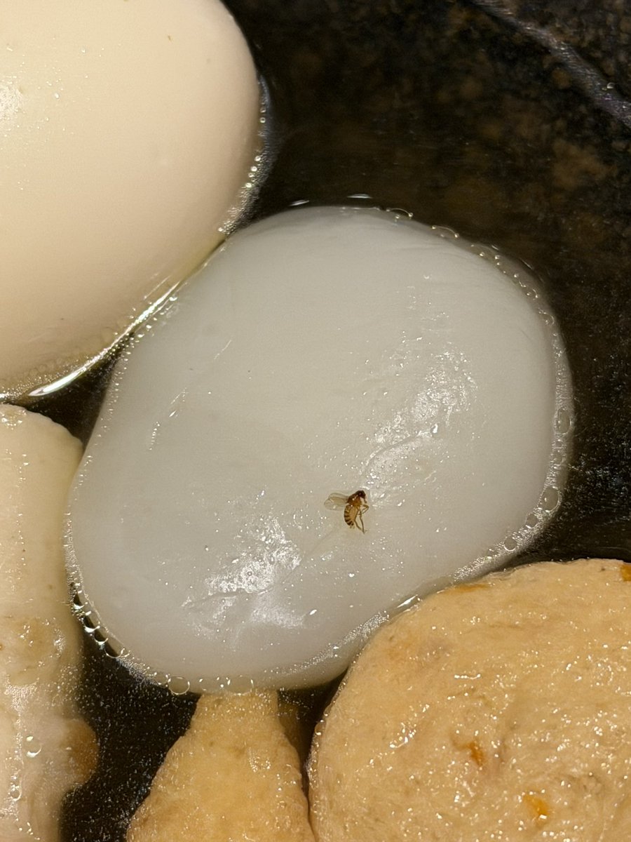 アツアツのおで……ん！？！？！？！？