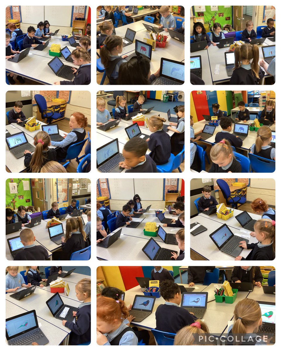 St Elizabeth's - Year 1 Class tweet media