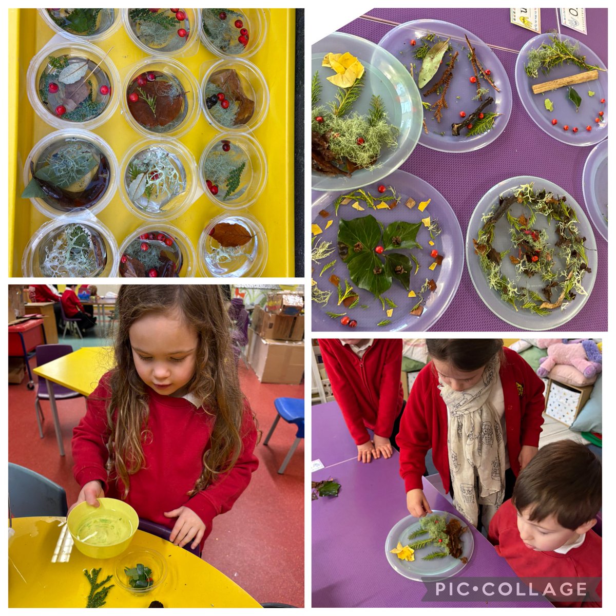 HermitagePrim's tweet photo. A chilly start to the term, but we didn’t let the frost stop us! ❄️ We wrapped up warm and headed out to look for signs of winter. We brought some treasures back to make frozen sun catchers. 🧊✨ A magical first week back! 🧤🧣 #SchoolLife #WinterLearning #Outdoorlearning https://t.co/pYudIDjO0a
