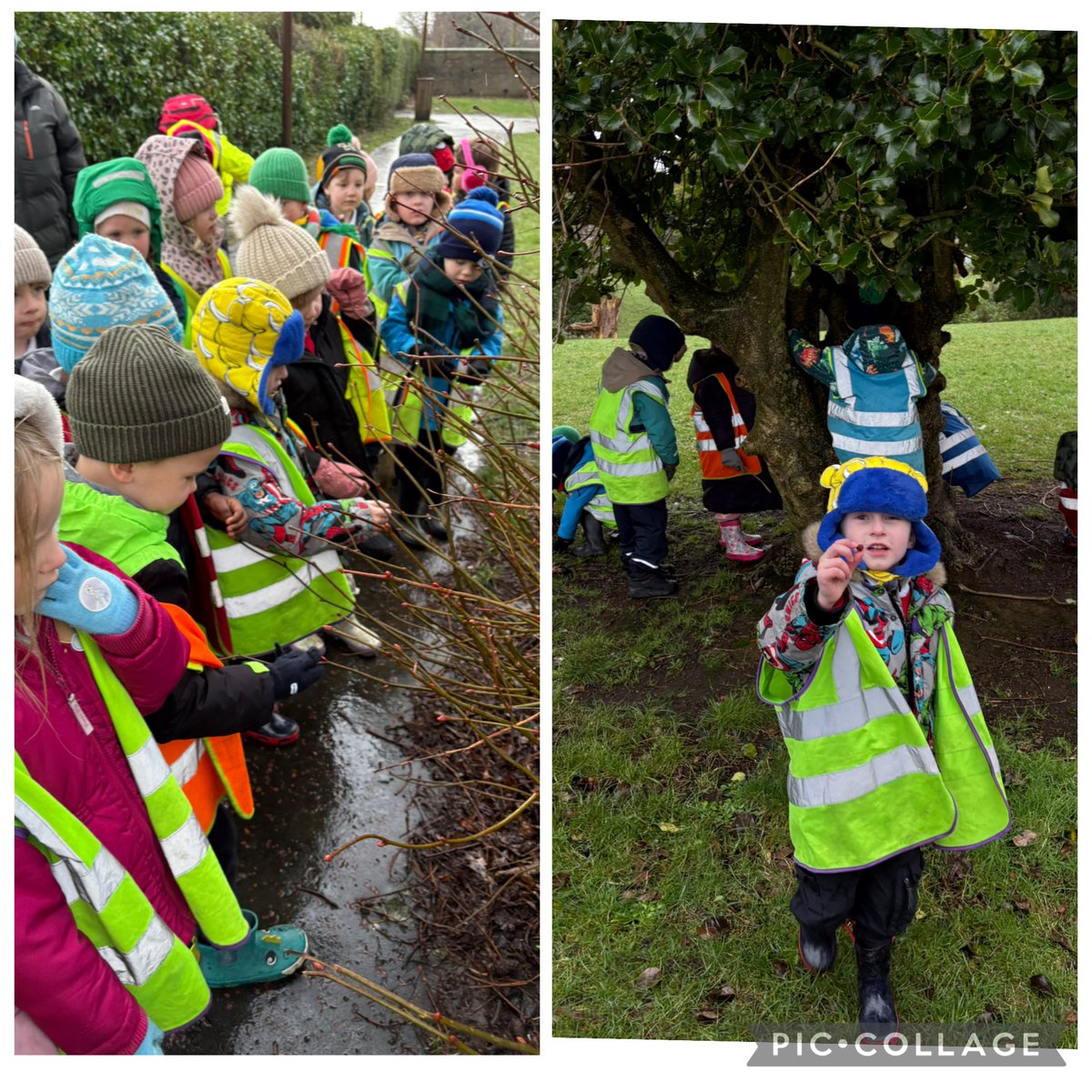 HermitagePrim's tweet photo. A chilly start to the term, but we didn’t let the frost stop us! ❄️ We wrapped up warm and headed out to look for signs of winter. We brought some treasures back to make frozen sun catchers. 🧊✨ A magical first week back! 🧤🧣 #SchoolLife #WinterLearning #Outdoorlearning https://t.co/pYudIDjO0a