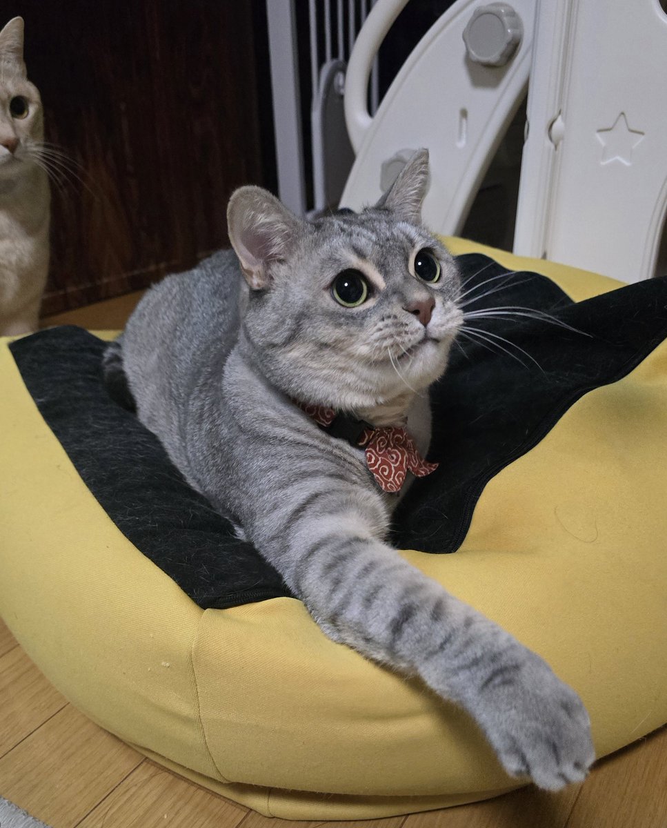 麦パパ (@mugimugi_222) / Posts / X