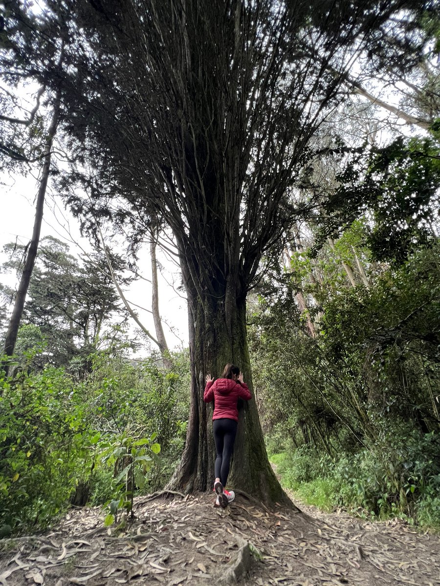 AcueductoBogota's tweet photo. Si eres #TeamCardio en la montaña🌄🥾… este plan es para ti.
Los Caminos de los Cerros Orientales son perfectos para esta actividad y y disfrutar de la riqueza natural que nos rodea.
ℹ️ Agenda tu visita en: https://t.co/440pZWQUZt https://t.co/upzKJGDsp9
