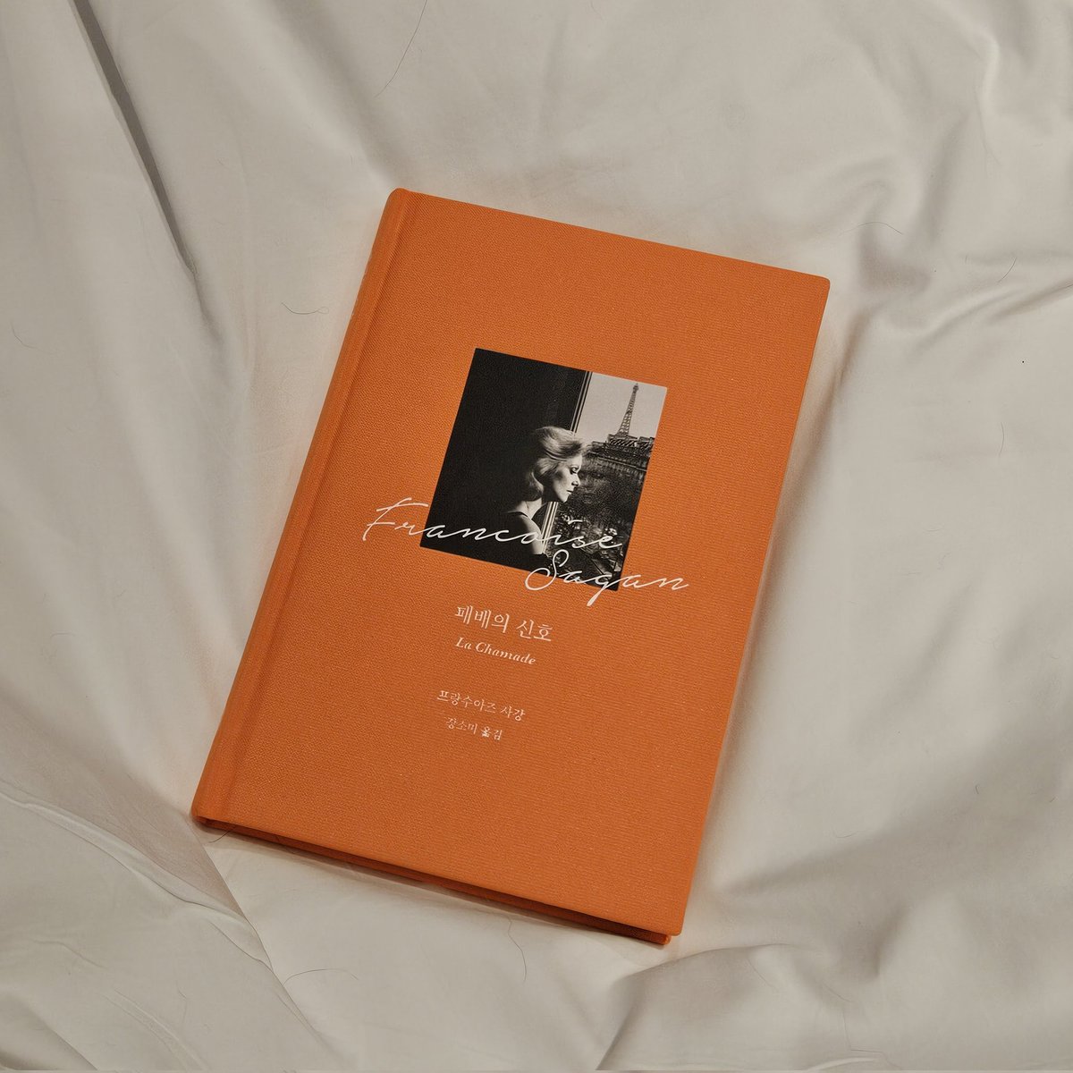 🍅채소🥕 tweet media