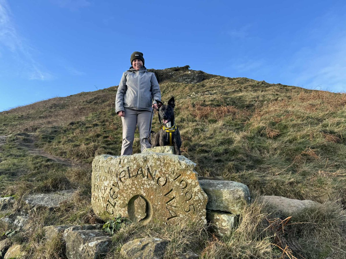 DT_Darlington's tweet photo. Out and about with Sass ๐ฆฎโฐ๏ธ๐พ
Sass is an energetic girl who loves getting out to explore new places. The day was made even better as her new canine friend joined too ๐ถ๐
@DogsTrust
#BestBuds #Walkies #AdventureDays #AdoptDontShop https://t.co/zLbXWTZk14