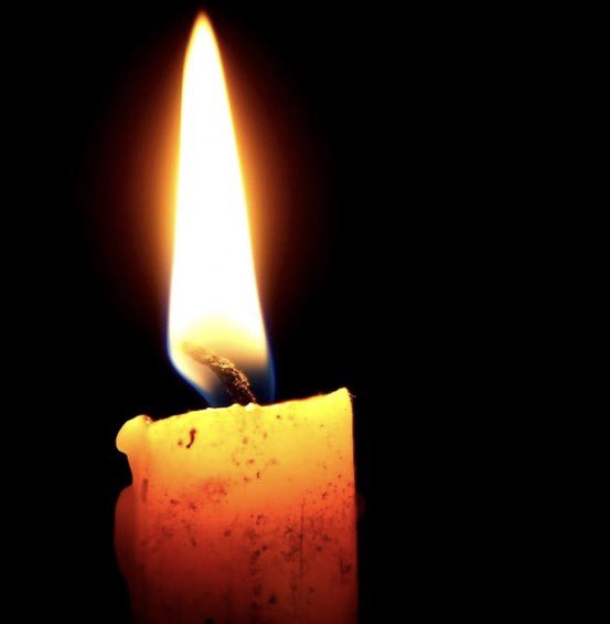 Annabel ROGER tweet media