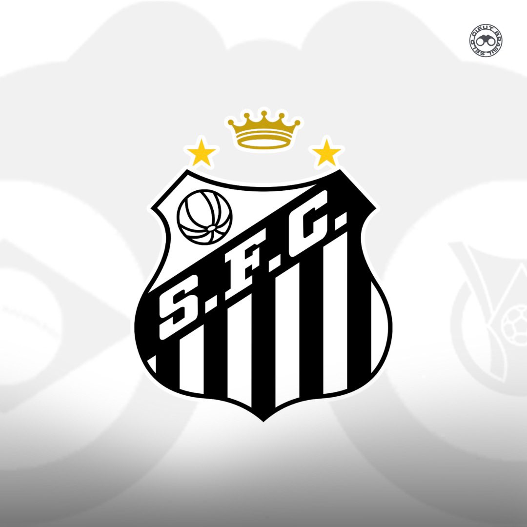 Cifut Brasil tweet media