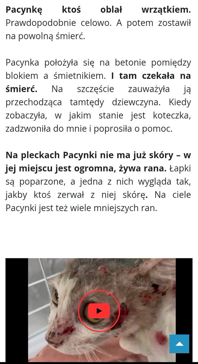 ZRÓBCIE ZASIĘG. PACYNKĘ KTOŚ OBLAŁ WRZĄTKIEM. POTRZEBNE SA PIENIĄDZE NA POMOC TEJ KRUSZYNCE. BŁAGAM WAS O RT

animalsrescueteam.pl/pacynka/?fbcli…