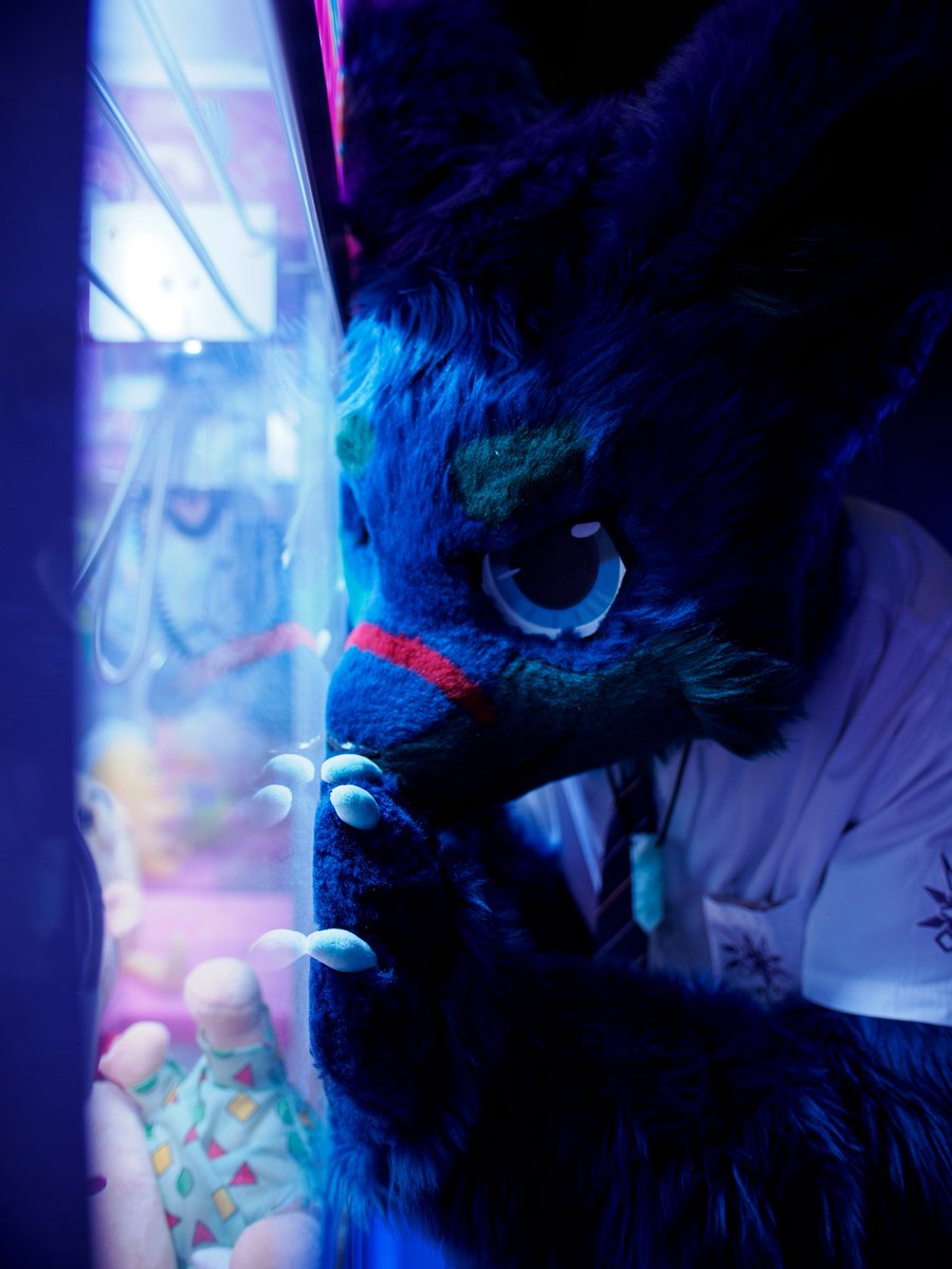 CT the Wolf➡️UTFG tweet media