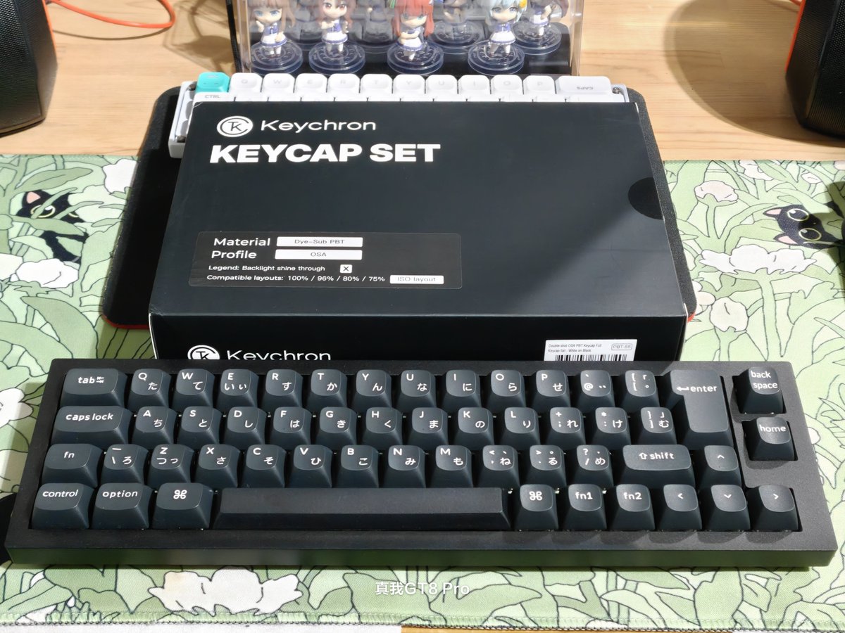 Keychron のキーキャップセットが届いたので、Keychron Q9 ISO
