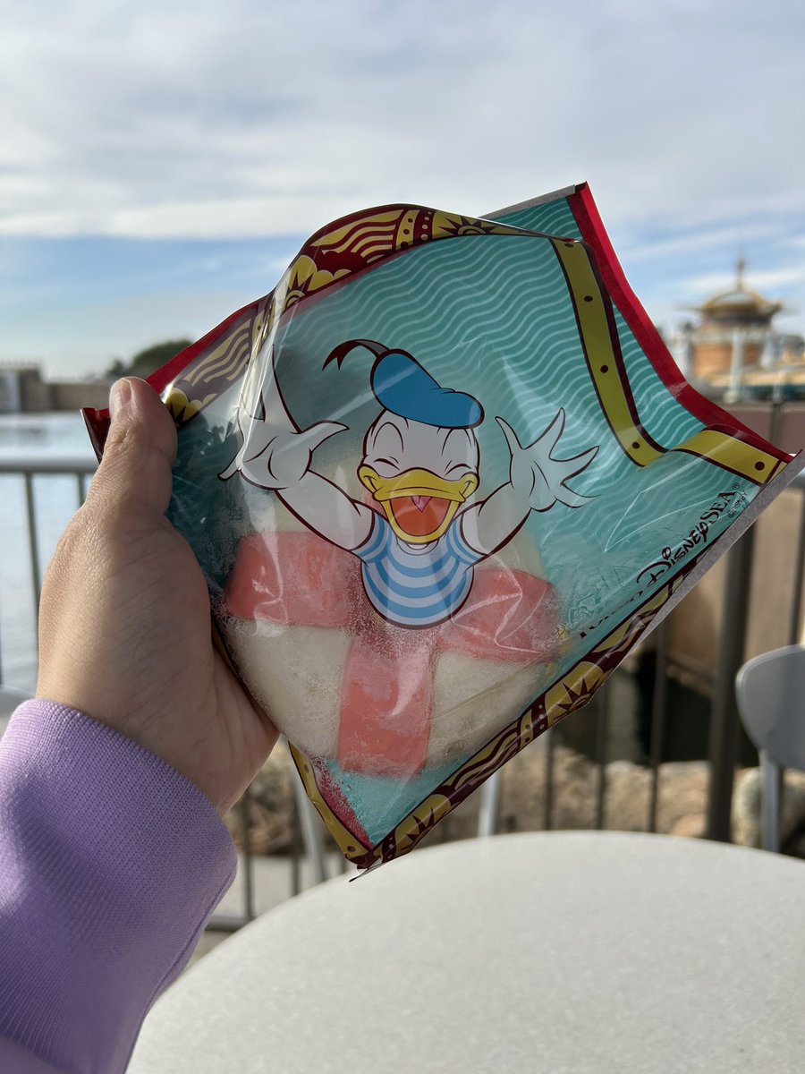 mol_Error's tweet image. 新年初のシー
うきわまん食べれて満足だしめっちゃおいしかった、てかこのドナルドかわいいすぎ
そしてクレームブリュレチャレンジはステラ･ルーでした、これもめっちゃおいしいんだよね🙆‍♀️