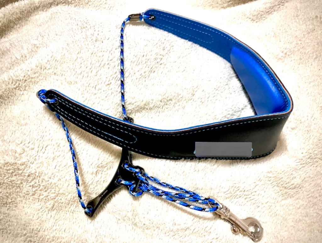 誕プレ 誕プレとして新しいストラップ買ってもらった〜！ 名前の刺繍入り