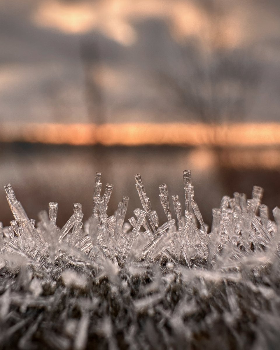 Wonder Pixels tweet media