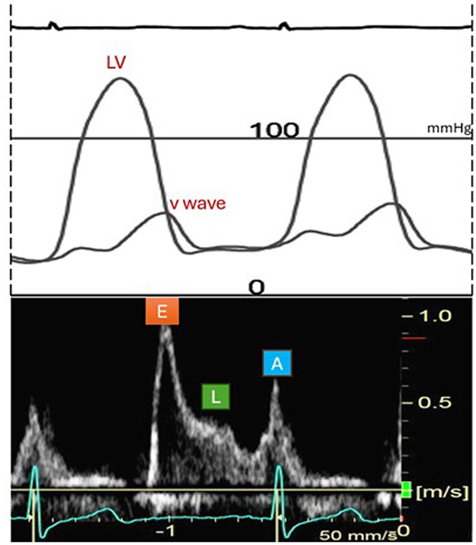 V.L.Sorrell, MD (@CASEfromASE EIC) tweet media