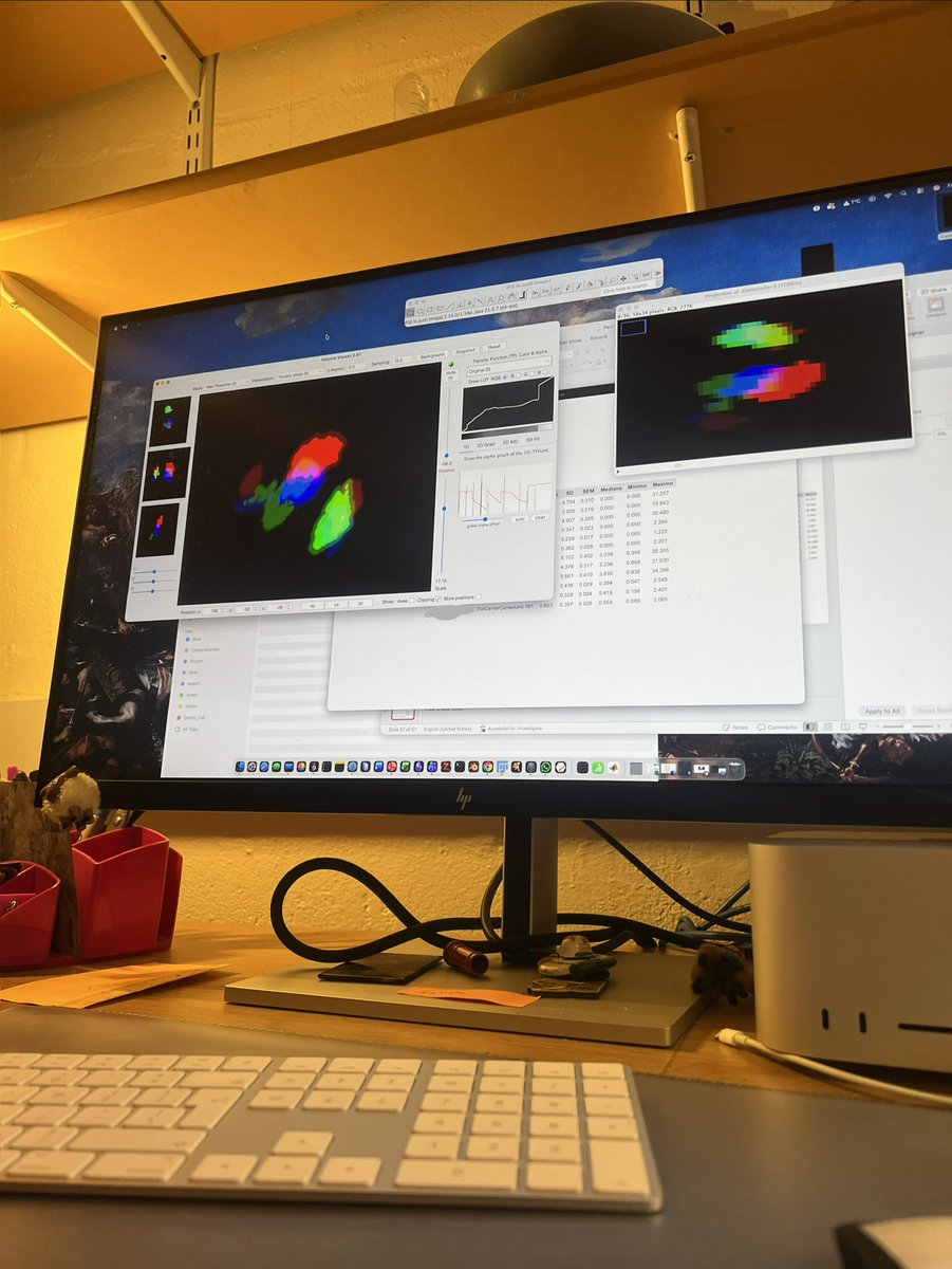 Felipe Del Valle tweet media