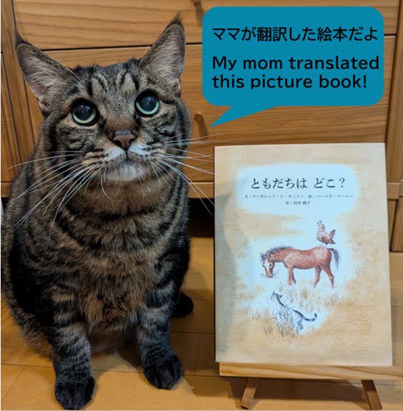 Junko Tanaka tweet media