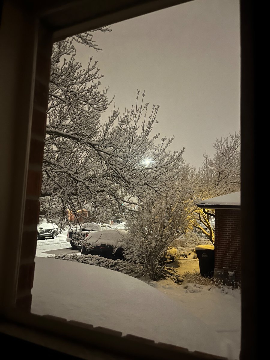 AdSkillern's tweet image. I’m still enchanted by a fresh snow.