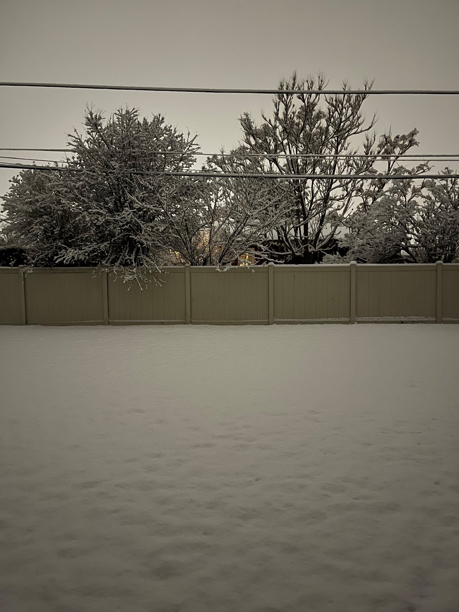 AdSkillern's tweet image. I’m still enchanted by a fresh snow.
