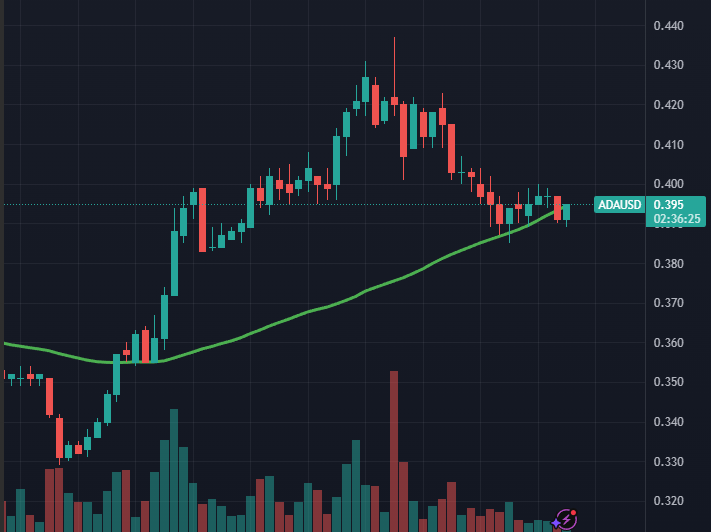 Sssebi's tweet photo. $ADA is currently retesting the 50MA on the 4hr chart👀

A bounce here could send $ADA higher🚀

Expect high volatility today due to the macro-economic events. It can go either way here. https://t.co/slMRbvCkjd