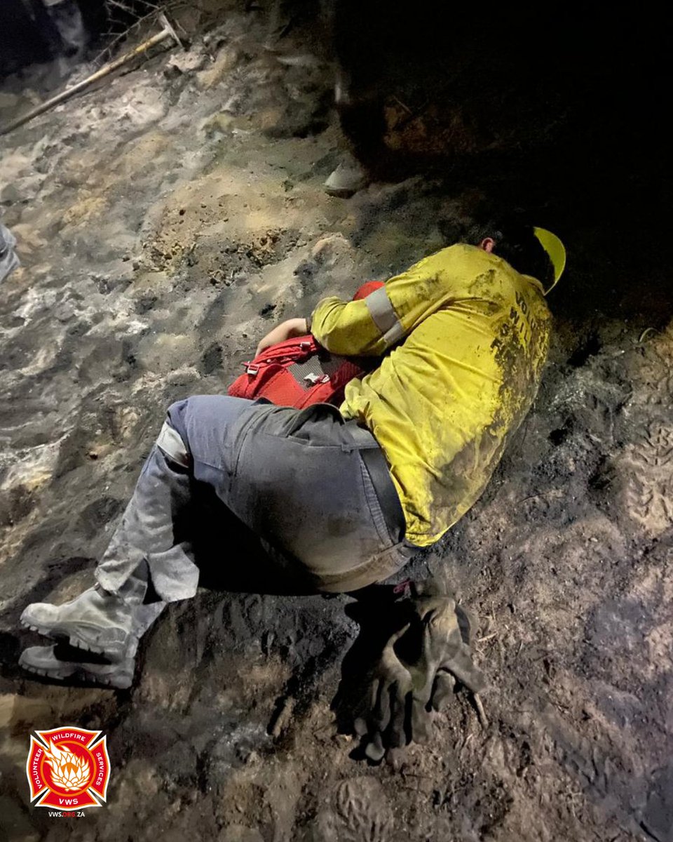 VWS Wildfires tweet media