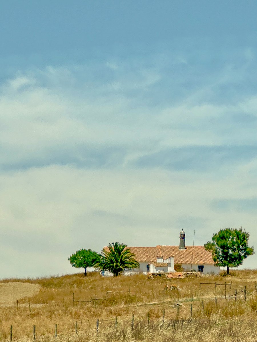 D_Scrofani's tweet photo. Good morning 🫶

Driving from Albufeira to Lisbon, I had the pleasure of being a passenger, capturing the stunning countryside in photos as we drove smoothly along the road without pause.
~Motorway A2, Conceição, Portugal

Visual Poetry Editions: Lights Will Guide You Home

'Chasing Dreams'