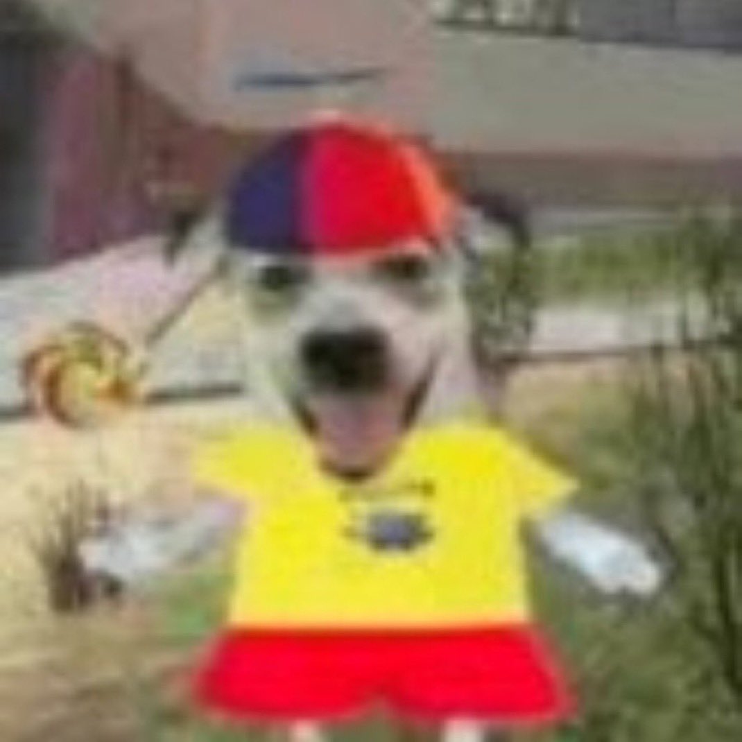 1eozinho01's tweet image. Me identifico com esses boboquinhas e felizinhos