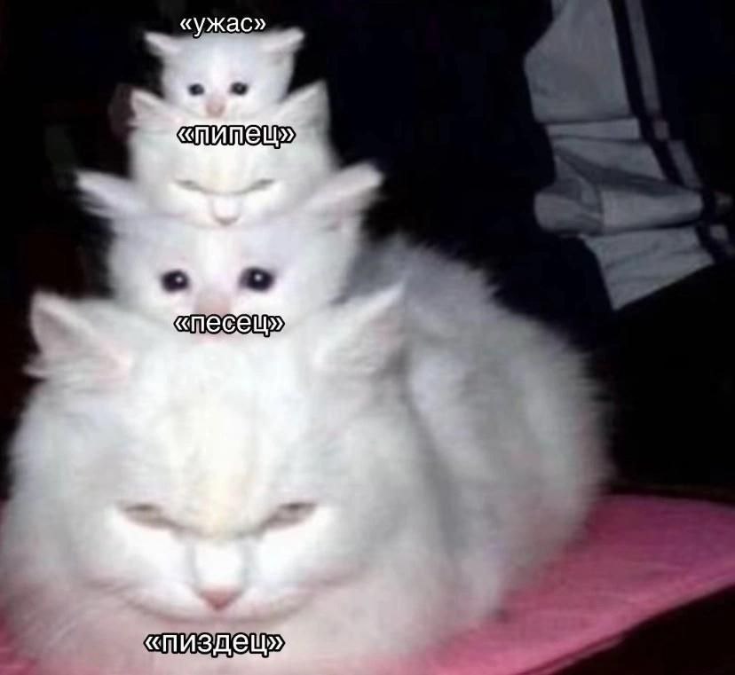 Джулик (@juliamayko) on Twitter photo 