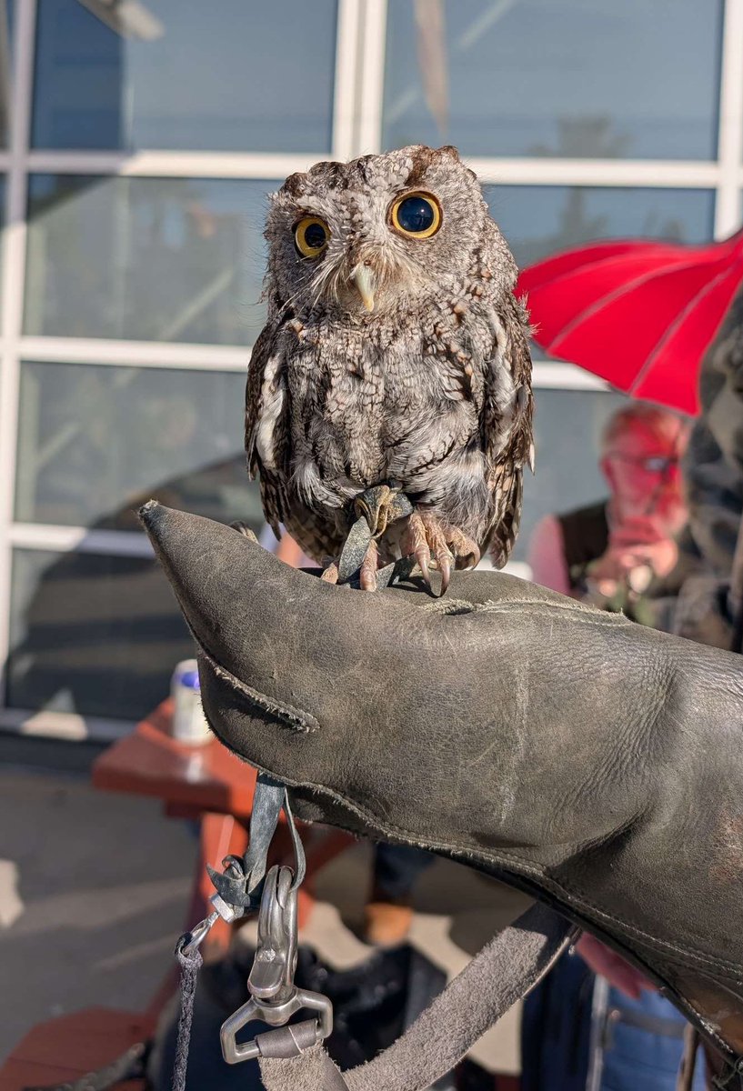 𝖕𝖎𝖘𝖘 𝖆𝖑𝖈𝖍𝖊𝖒𝖎𝖘𝖙 tweet media