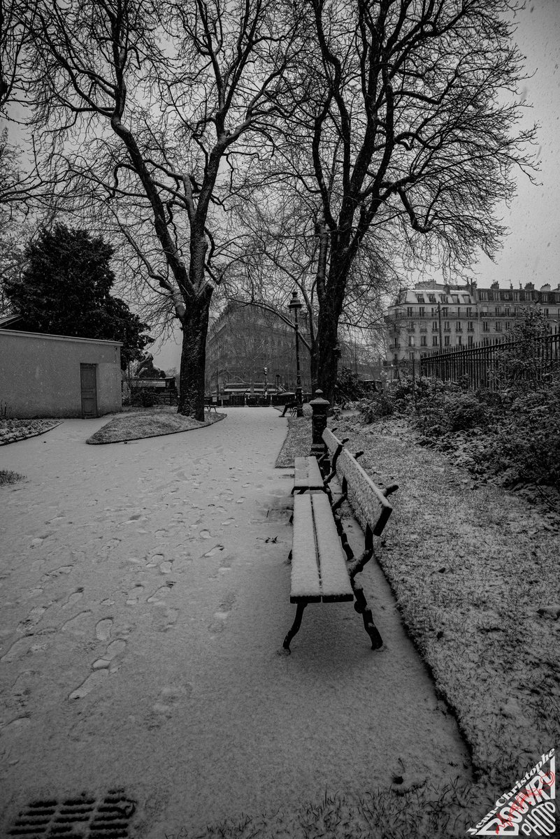 Une photo en noir et blanc d'un arbre penché photo – Image gratuite de  Paysage nature sur Unsplash, image size:801x1200