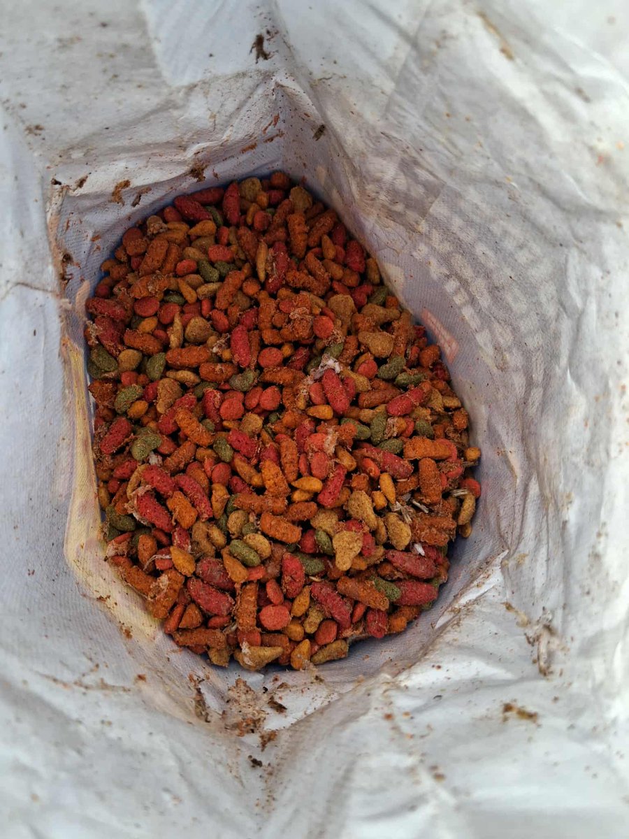 Good Ole Jeff with 2 F's tweet media