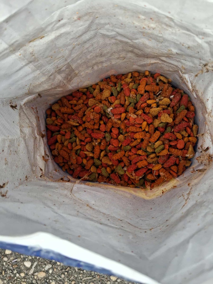 Good Ole Jeff with 2 F's tweet media