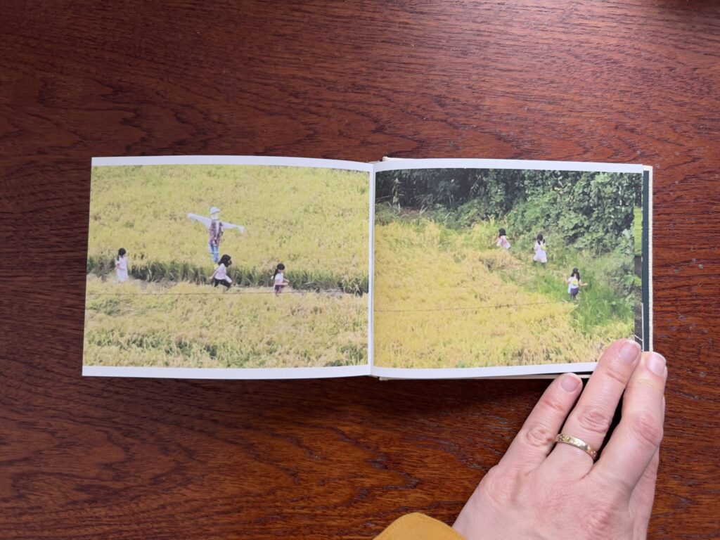 Collector Daily tweet media