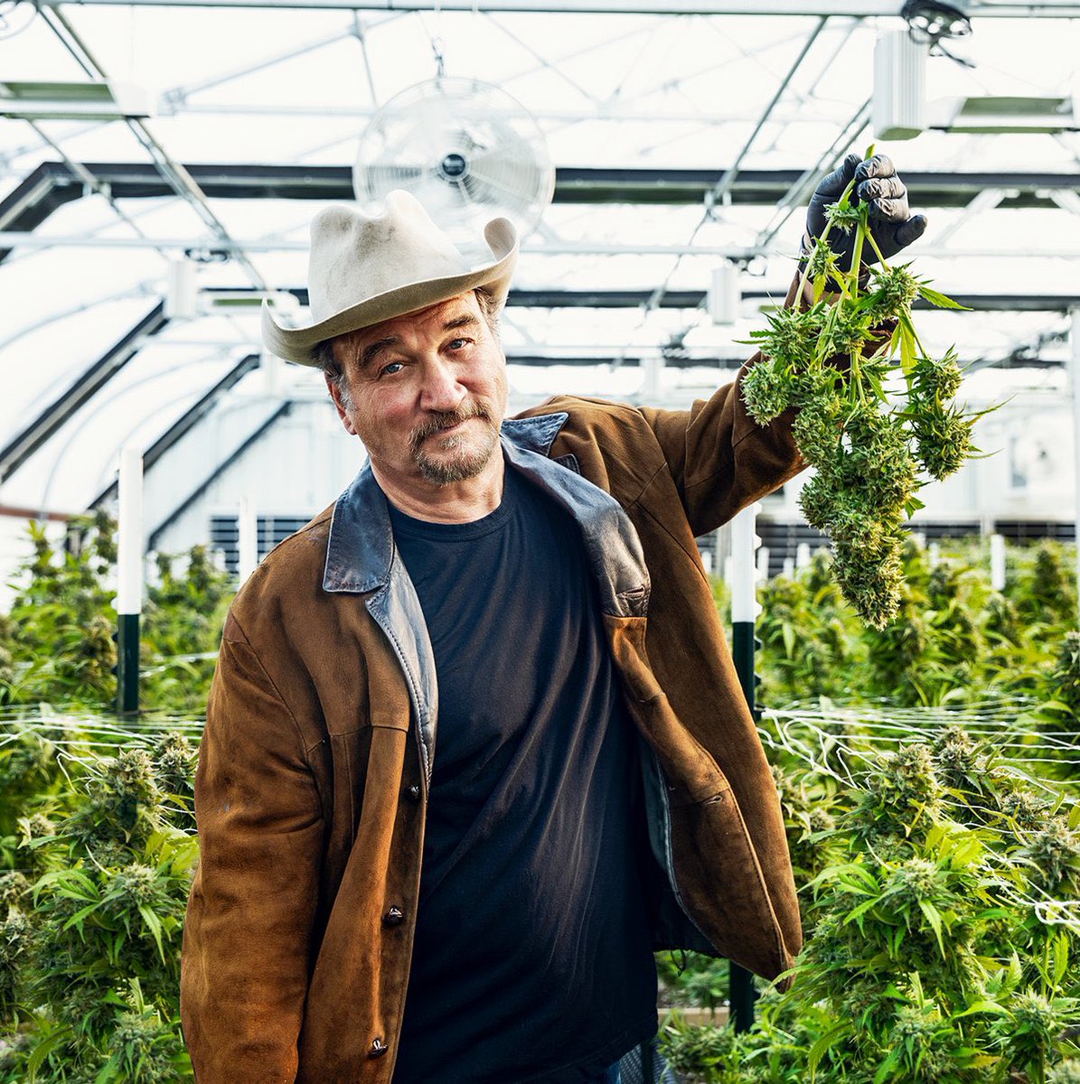 Which strain do you want for the weekend?